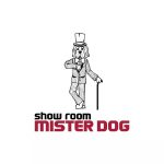 Mister Dog Showroom